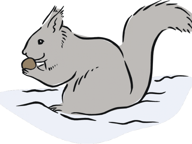 Gray Squirrel Clipart Cute Free Clipart On - Free Clipart Black And White Squirrels - Png Download (640x480), Png Download