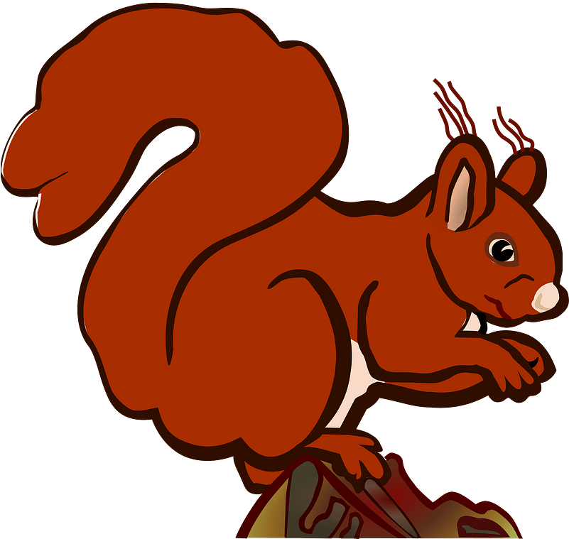 Squirrel Clipart - Dessin Ours Qui Marche - Png Download (800x800), Png Download