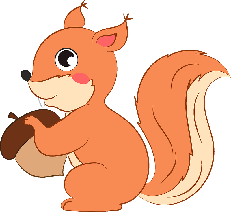 Squirrel Clipart - Cartoon - Png Download (800x736), Png Download
