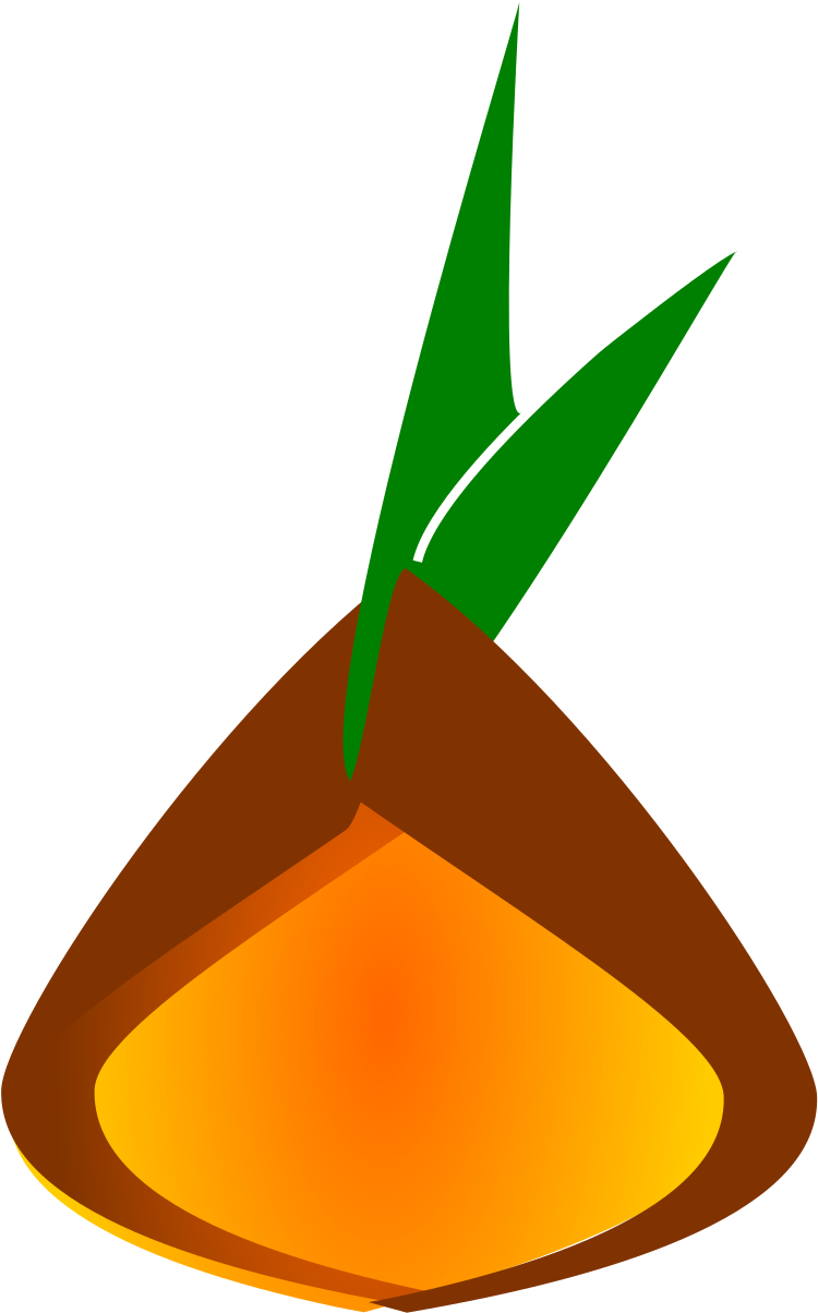 Kernel Clipart Kernal - Png Download (1697x2400), Png Download