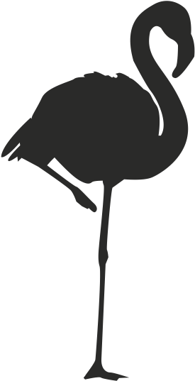Flamingo Logo Silhouette Clip Art - Birds Of A Feather Flock Together Flamingo - Png Download (600x600), Png Download