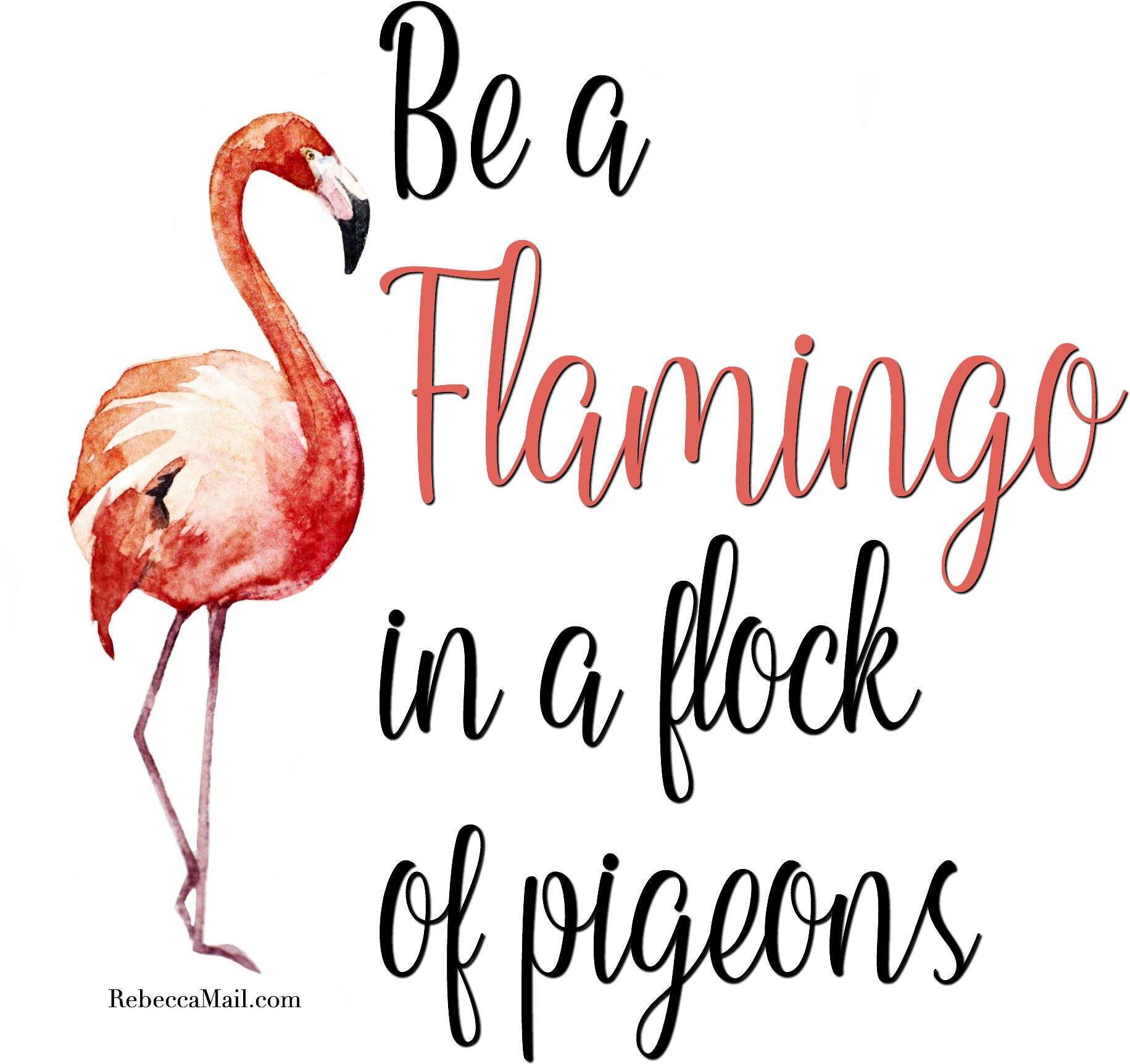 Flock Of Pigeons And One Flamingo Clipart Freeuse Stock - Png Download (2000x2000), Png Download