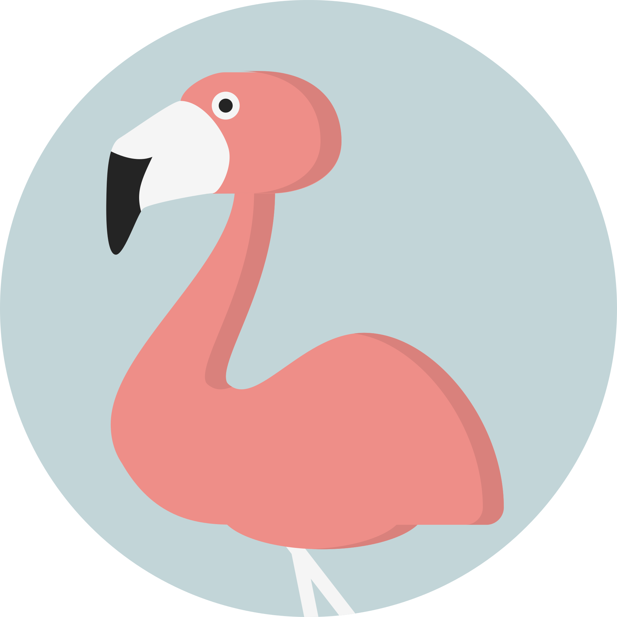Transparent Flamingo Clip Art - Flamingo Icon - Png Download (2000x2000), Png Download