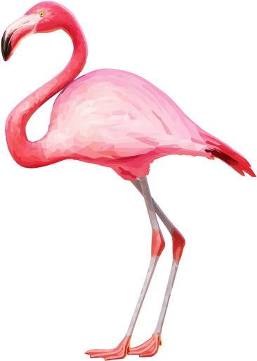 Flamingo Png Transparent Clipart (600x539), Png Download
