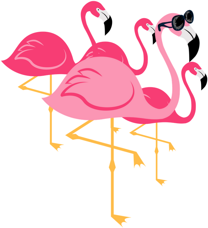 Greater Flamingo Clipart (1080x1080), Png Download