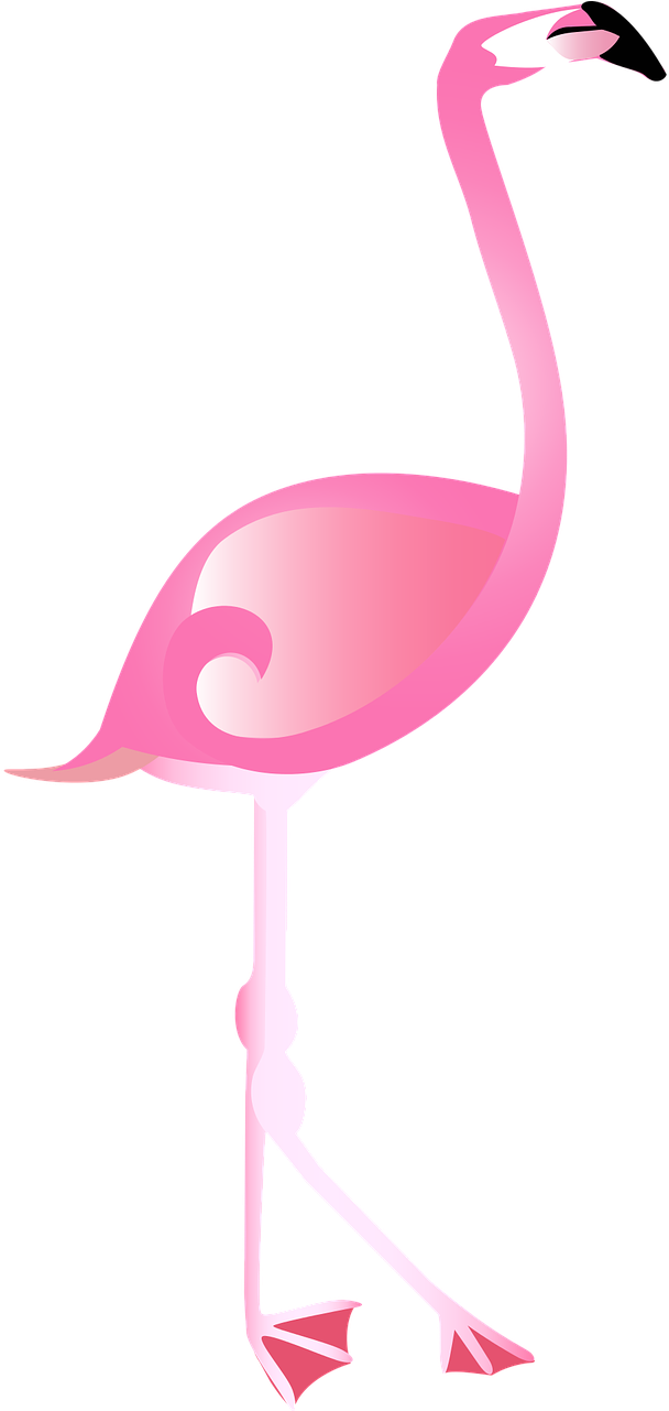 Flamingo Pixabay Clipart (640x1280), Png Download