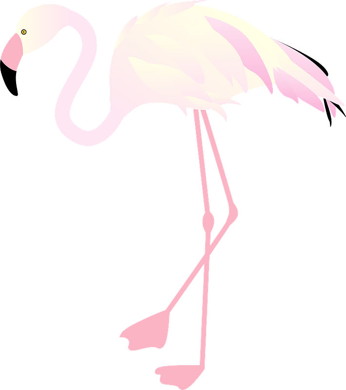 Flamingo Clipart - Greater Flamingo - Png Download (710x800), Png Download