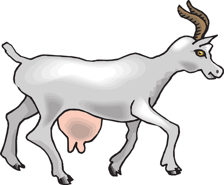 Collection Of Free Goat Drawing Side View Download - Goat Ram Cartoon Side View Clipart (871x720), Png Download