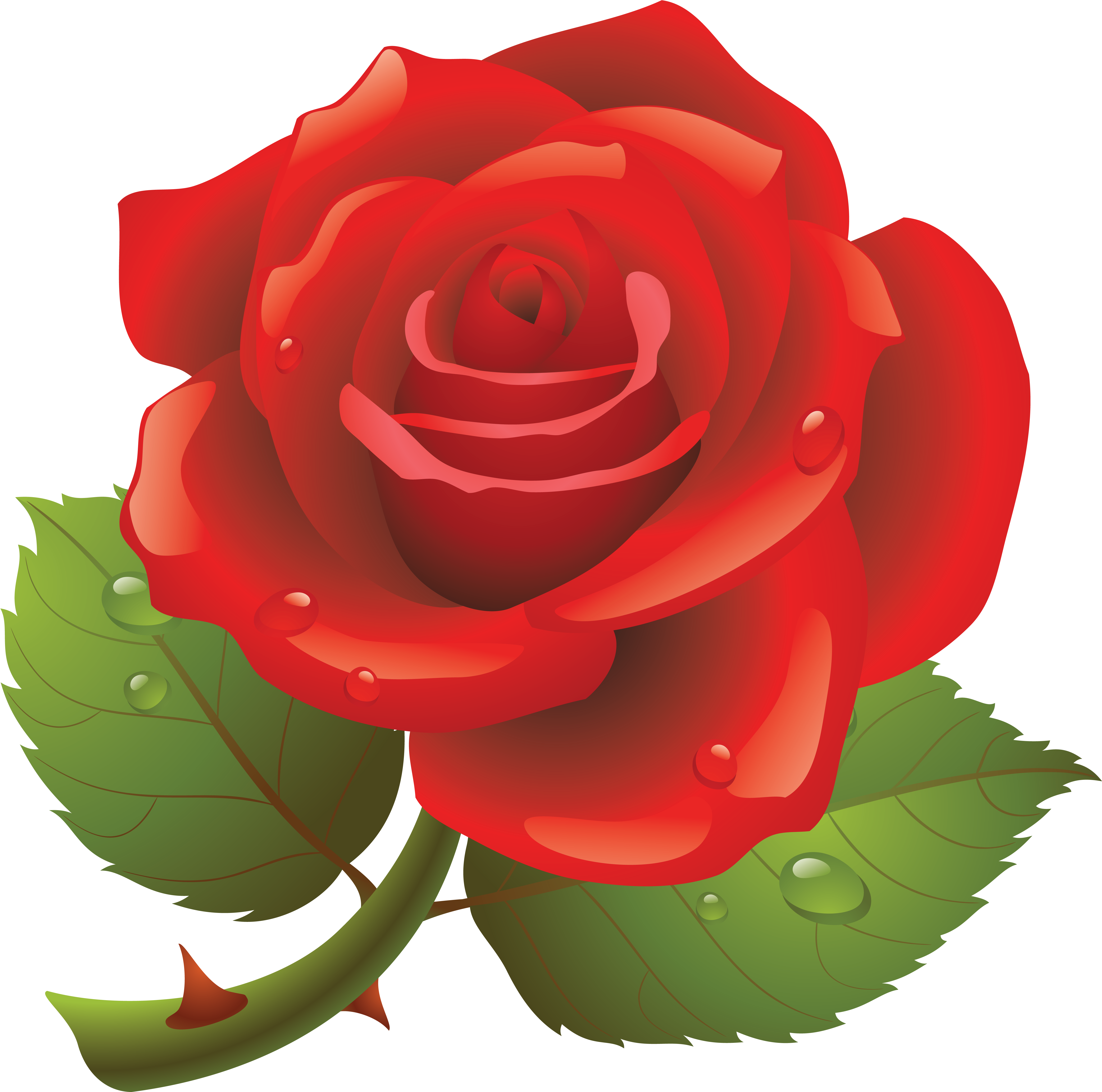 Rose Png - Happy Rose Day Pic Download Clipart (5293x5218), Png Download