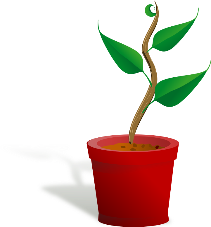 Pot Plant Clipart Bean Plant - Getting To Know Plants - Png Download (800x774), Png Download