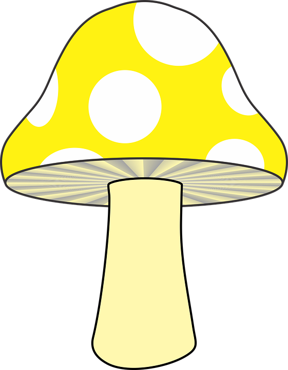 Mushroom Clipart Yellow Mushroom - Yellow Mushroom Clipart - Png Download (561x720), Png Download