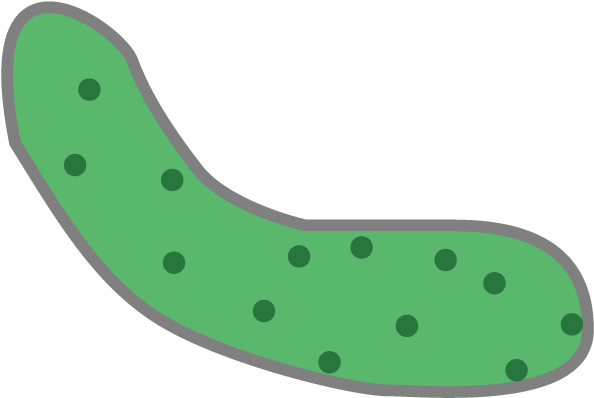 Gourd Clipart (640x640), Png Download