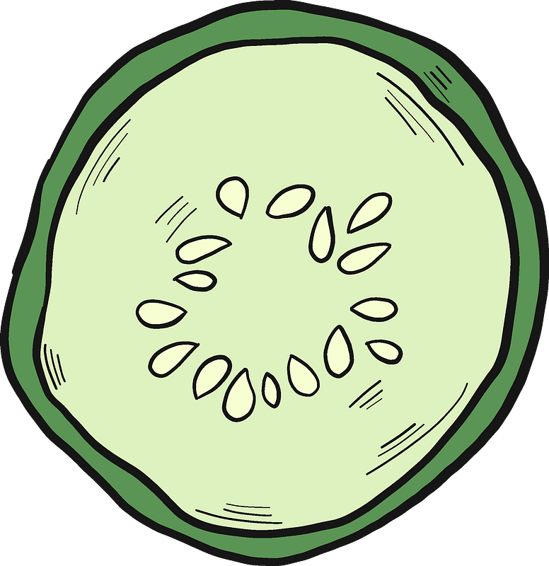 Cucumber Slice Clipart - Png Download (776x800), Png Download