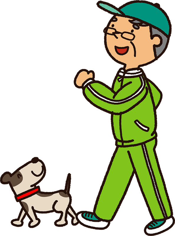 Senior Man Walking Dog Clipart - Illustration - Png Download (593x800), Png Download