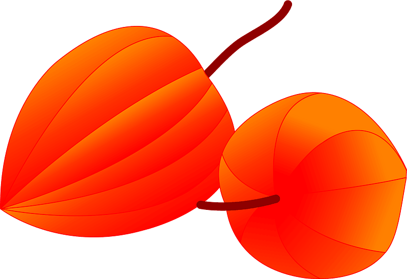 Japanese Lantern Clipart - Png Download (800x549), Png Download