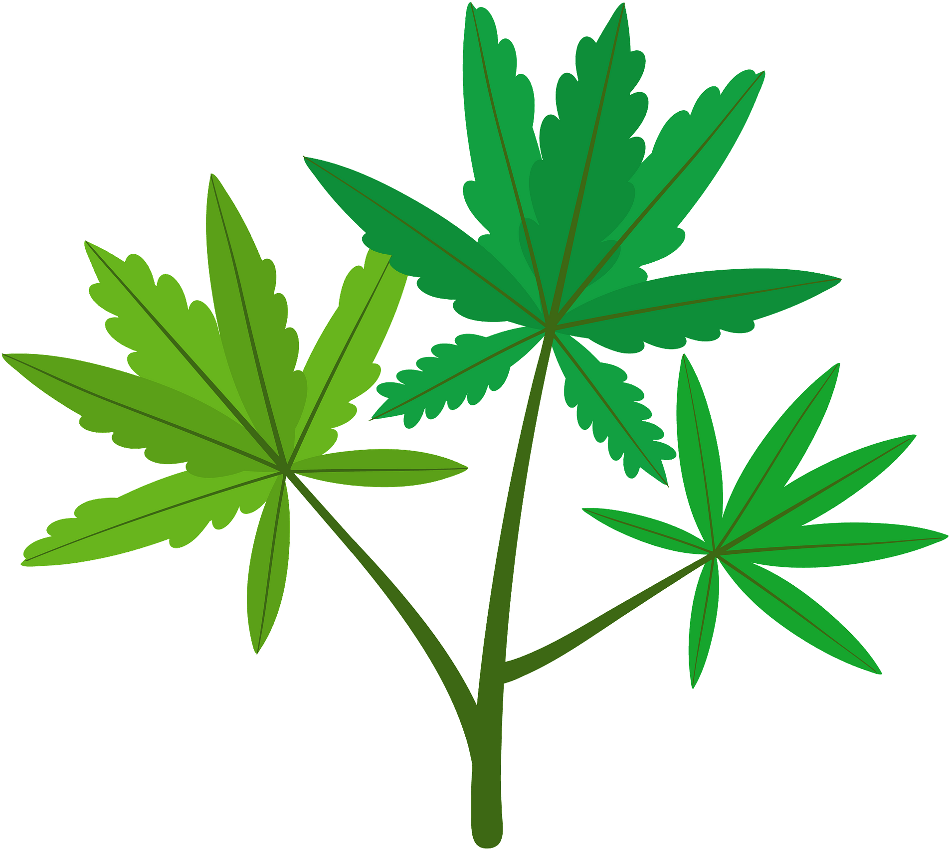 Clip Art - Png Download (1920x1736), Png Download