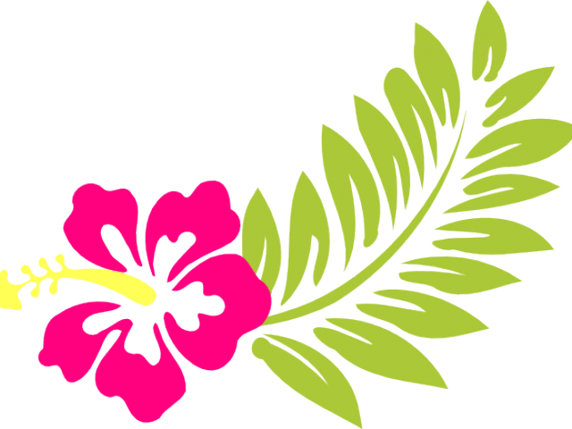 Hibiscus Clip Art - Png Download (640x480), Png Download