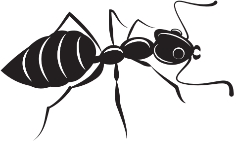 Ant Silhouette Clip Art - Ant Silhouette Vector - Png Download (600x600), Png Download