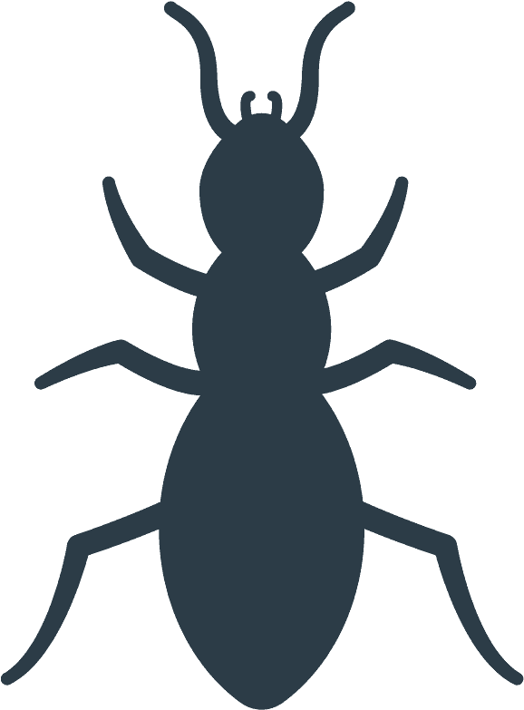 Ant Emoji Clipart - Эмодзи Жук - Png Download (800x800), Png Download