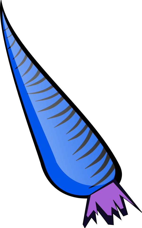 Vector Clip Art - Carrot Clip Art - Png Download (600x963), Png Download