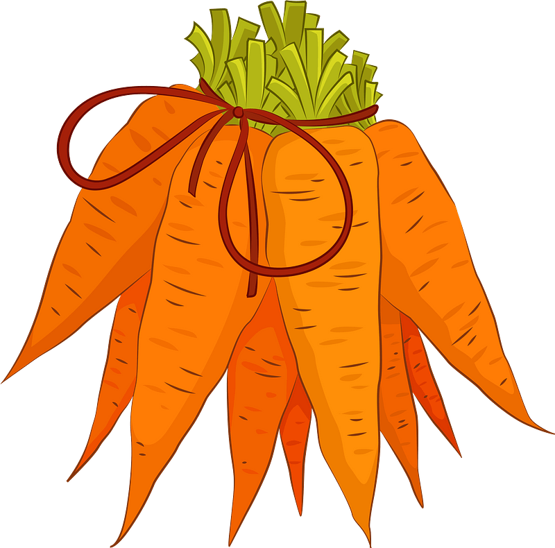 Carrot Clipart - Carrot - Png Download (800x790), Png Download