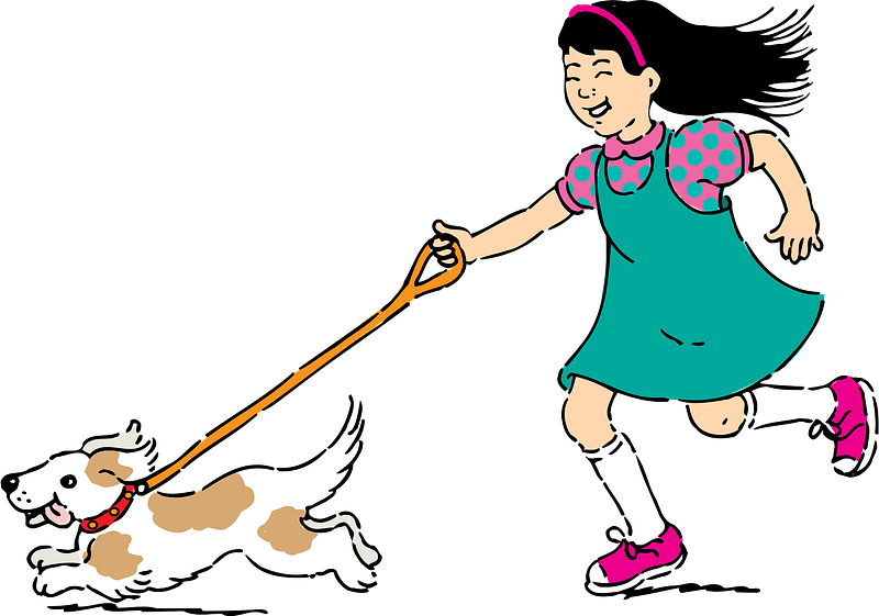 Walking Dog Clipart - Take Dog For Walk - Png Download (800x561), Png Download