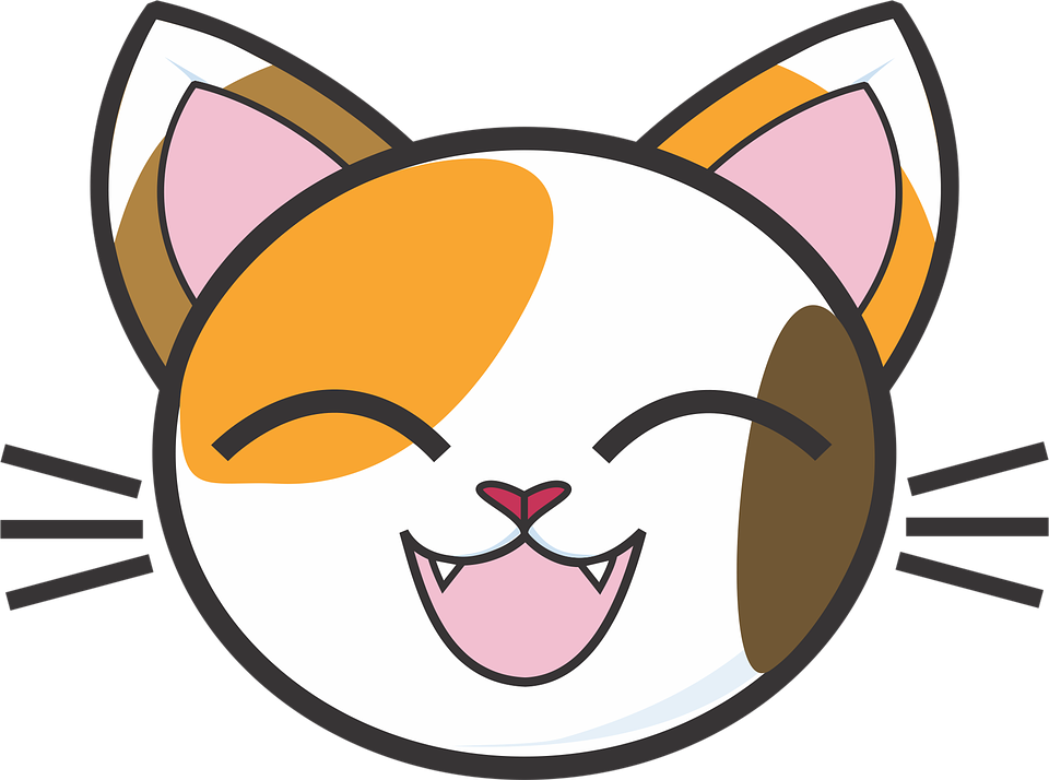Cat Emoji Clipart Clip Art Transparent Download Calico - Cat Face Clipart Png (960x714), Png Download