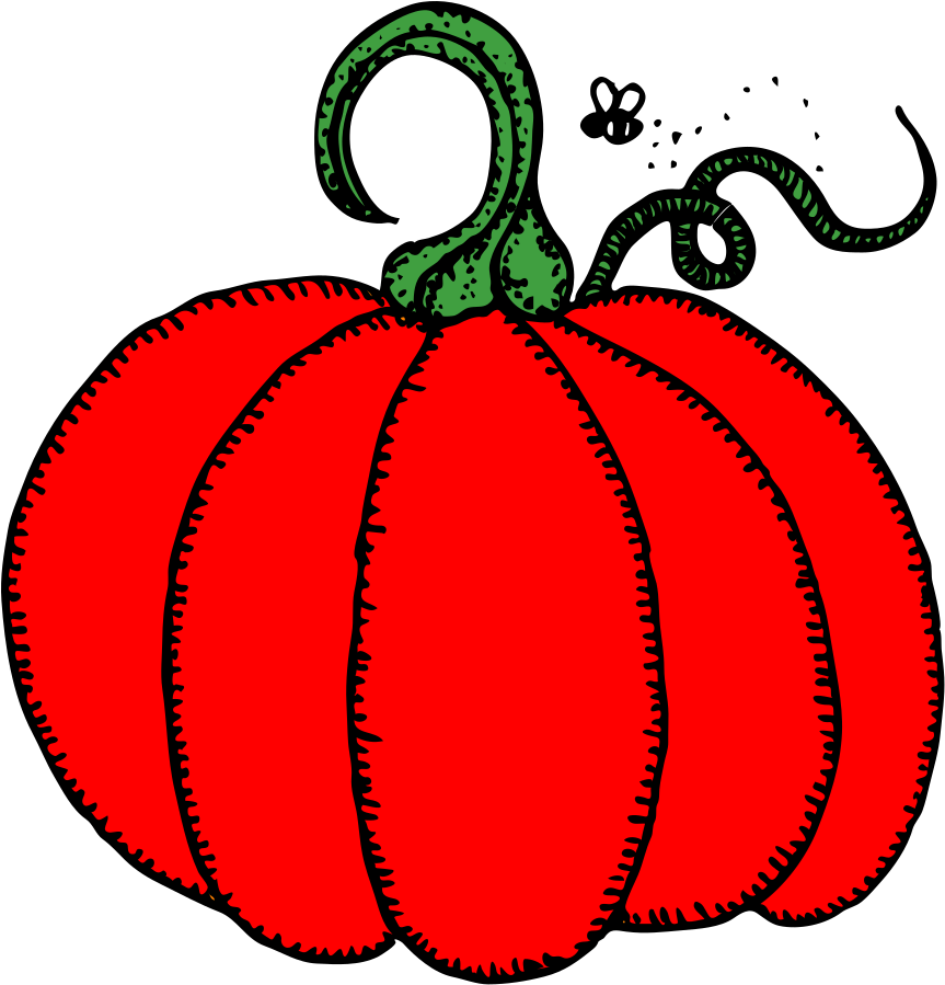 Pumpkin Clip Art - Png Download (570x594), Png Download