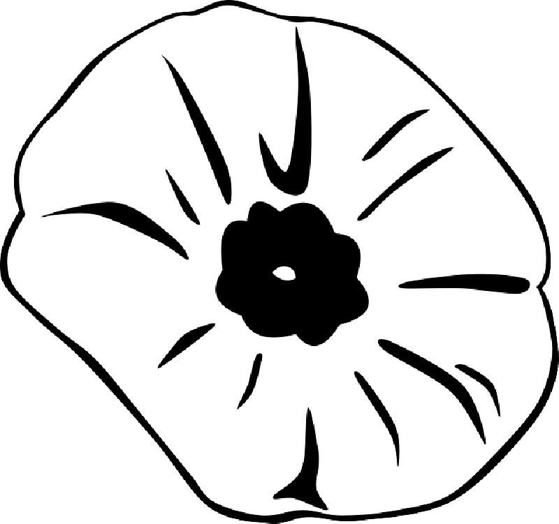 Art,symmetry,monochrome Photography - Silhouette Of A Poppy Clipart (799x750), Png Download