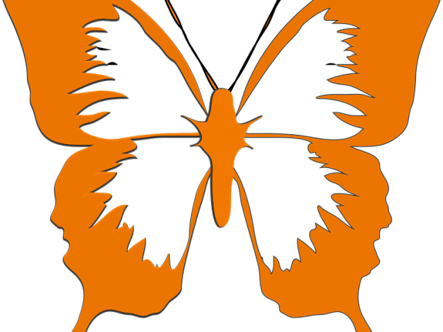 Butterfly Silhouette Clipart (640x480), Png Download
