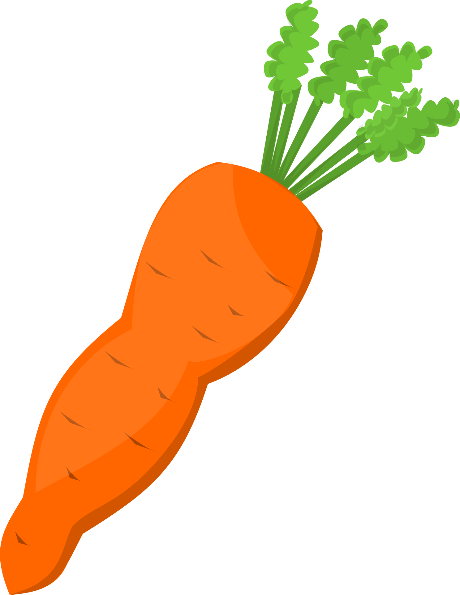 Carrot Clipart Png Transparent Png (1487x1920), Png Download
