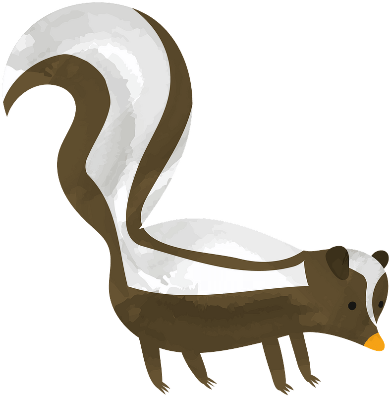 Skunk Clipart - Squirrel - Png Download (789x800), Png Download