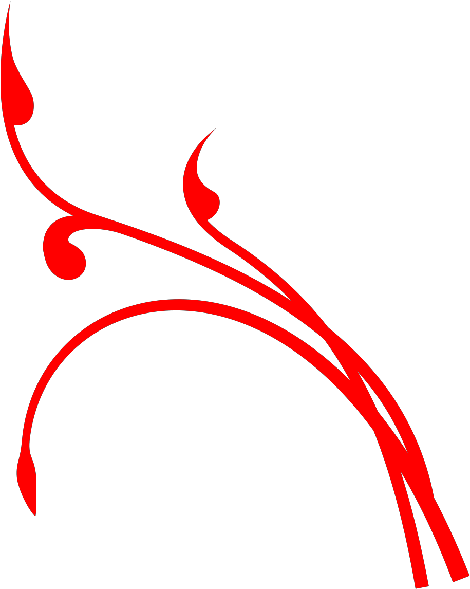 Vines Clipart Png Transparent Png (1600x1600), Png Download