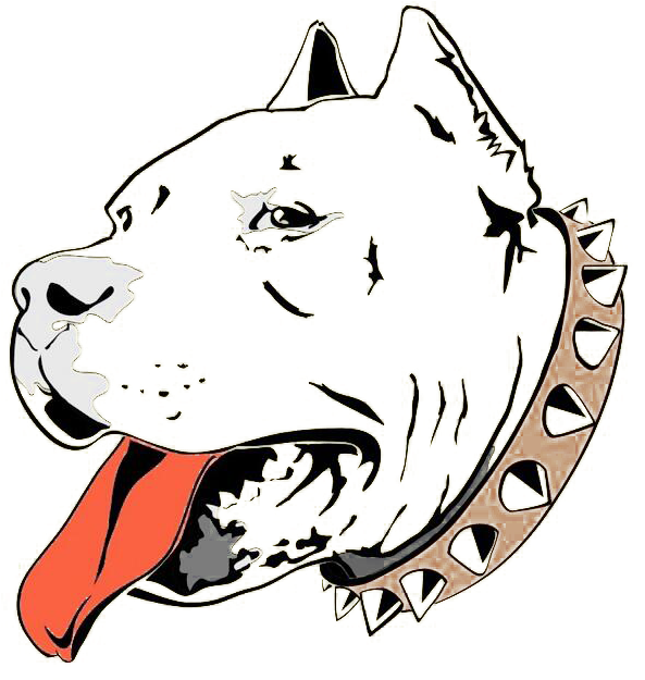 American Pit Bull Terrier Staffordshire Bull Terrier - Pitbull Drawings Clipart (750x647), Png Download