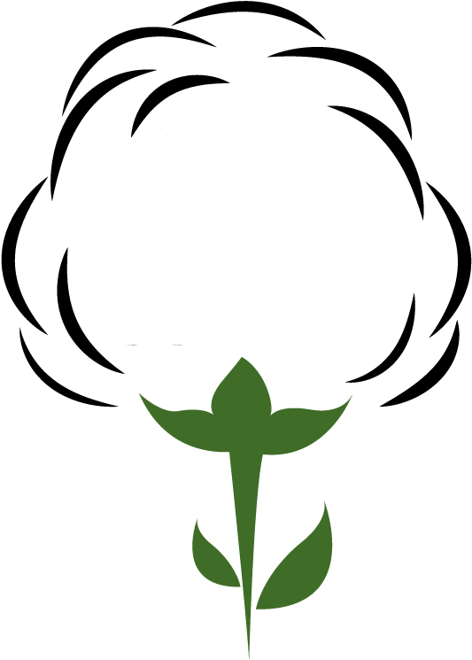 Cotton Clipart Cotton Plant, Cotton Cotton Plant Transparent - Cotton Clipart Transparent - Png Download (738x768), Png Download