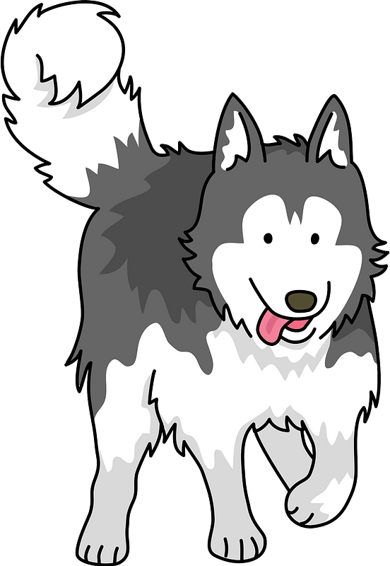 Siberian Husky Dog Clipart - Husky Dog Clipart Png Transparent Png (552x800), Png Download