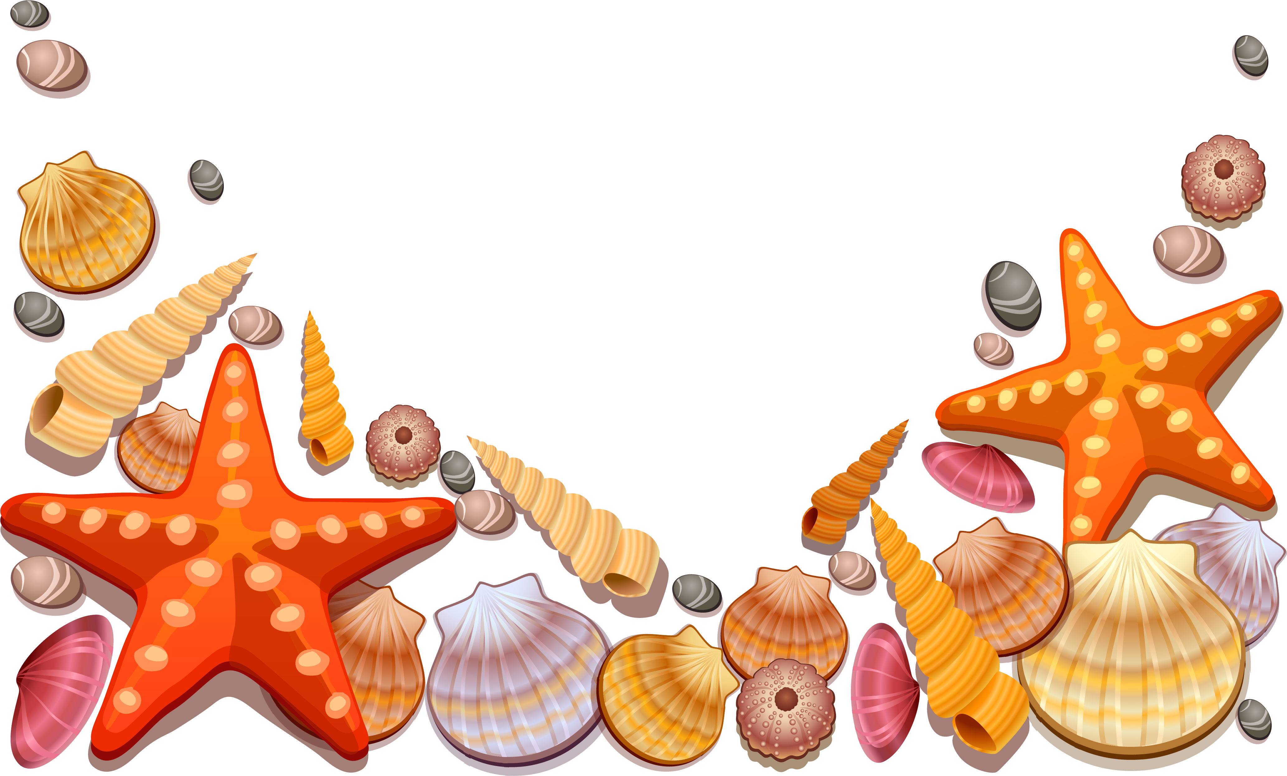 Image Royalty Free Library Colorful Seashell Clipart - Sea Shells Clipart Png Transparent Png (4135x2494), Png Download
