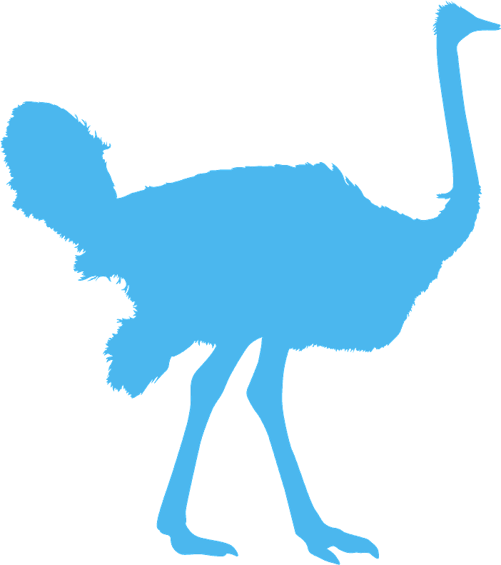 Common Ostrich Clipart (705x800), Png Download
