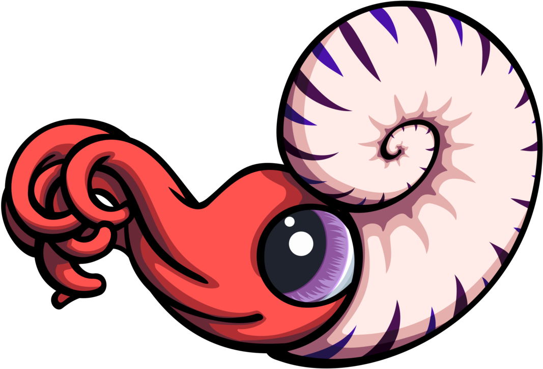 Ammonite Clipart - Png Download (1082x750), Png Download