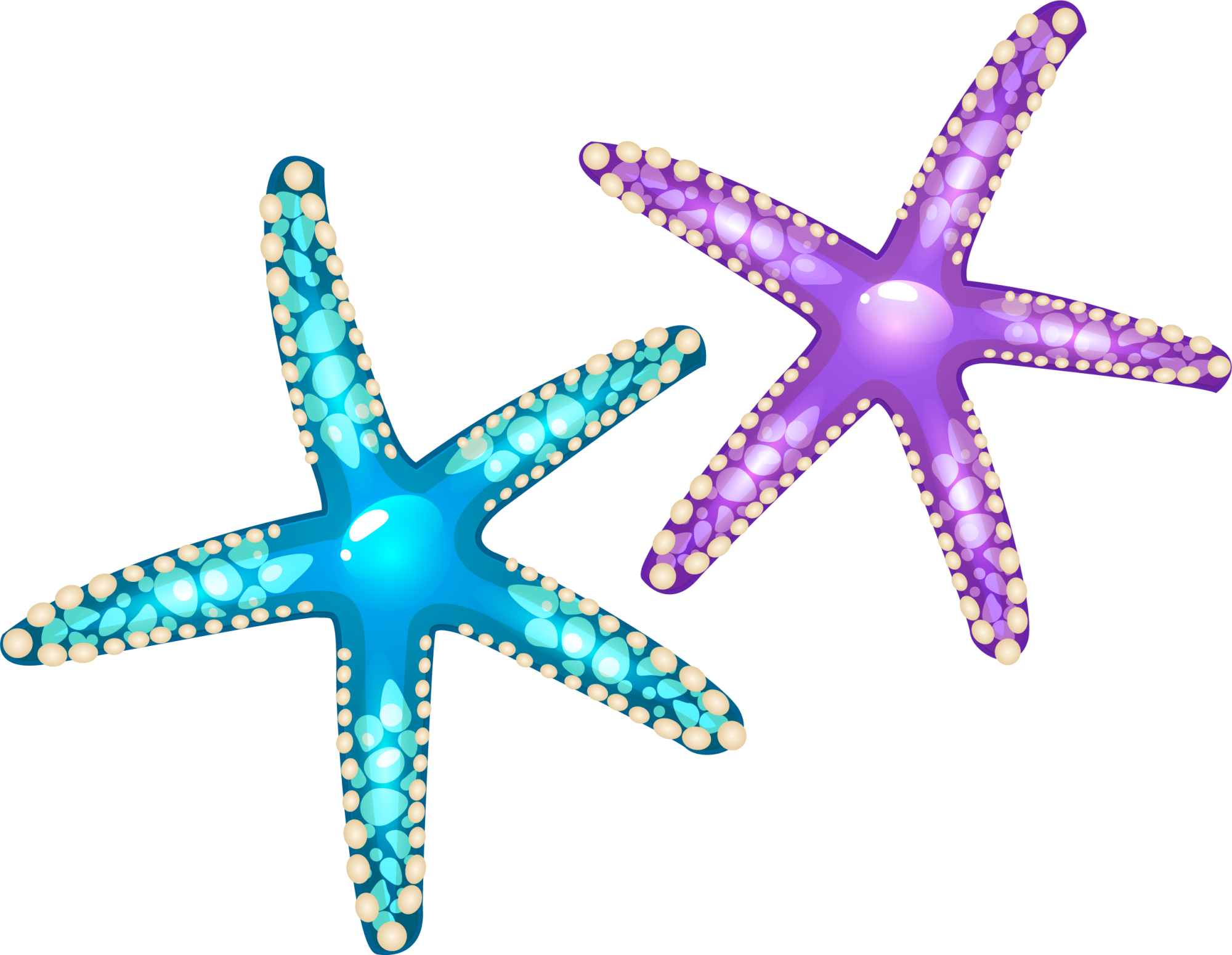 Transparent Purple Seashell Clipart - Png Download (2000x1551), Png Download