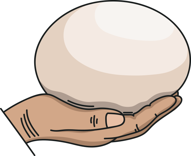 Cartoon Ostrich Egg Clipart (637x520), Png Download