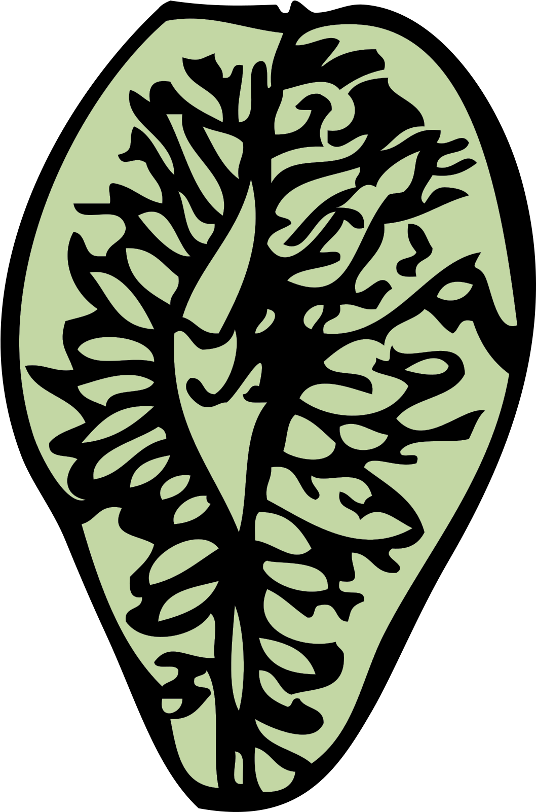 Conifer Cone Clipart (1600x1600), Png Download