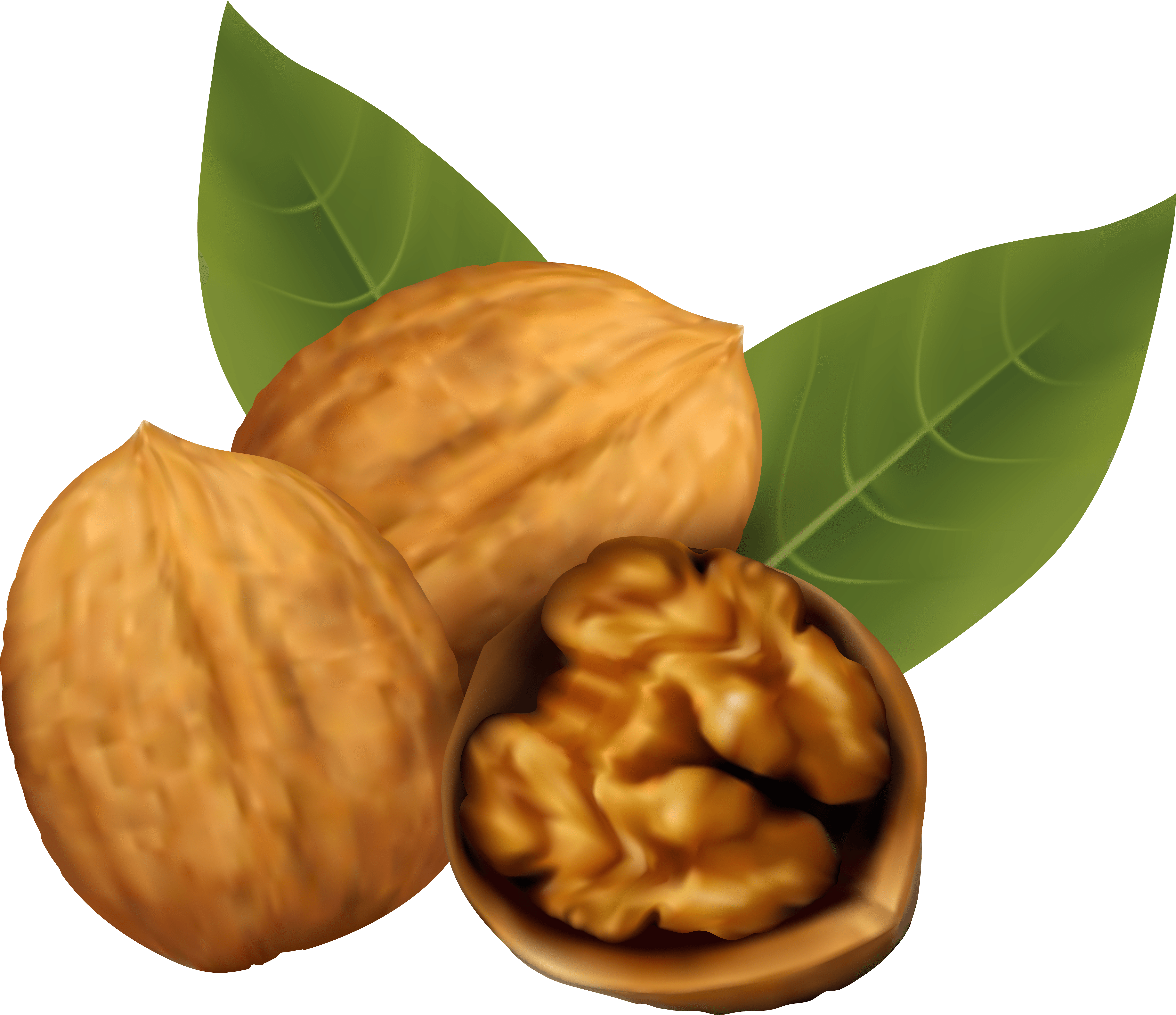 Nuts Clipart Walnut, Nuts Walnut Transparent Free For - Transparent Walnut Clipart - Png Download (6270x5401), Png Download