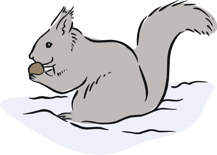 Free Gray Squirrel Cliparts, Download Free Clip Art, - Gray Squirrel Clipart - Png Download (750x535), Png Download