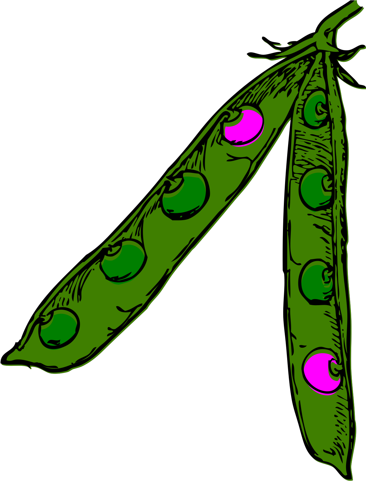 Pea Pod Clipart (1600x1600), Png Download