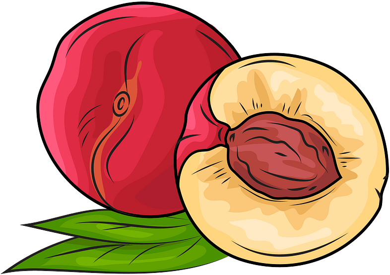 Whole Nectarine And A Half Clipart - Png Download (800x615), Png Download