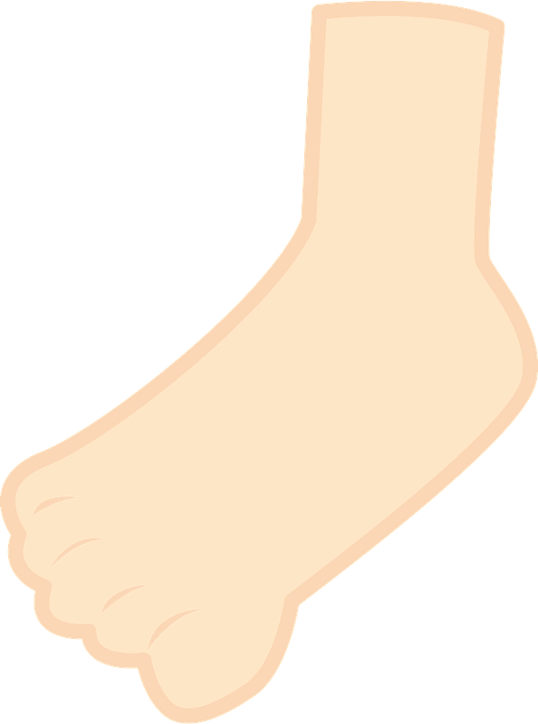 Foot Body Clipart - Sock - Png Download (594x800), Png Download
