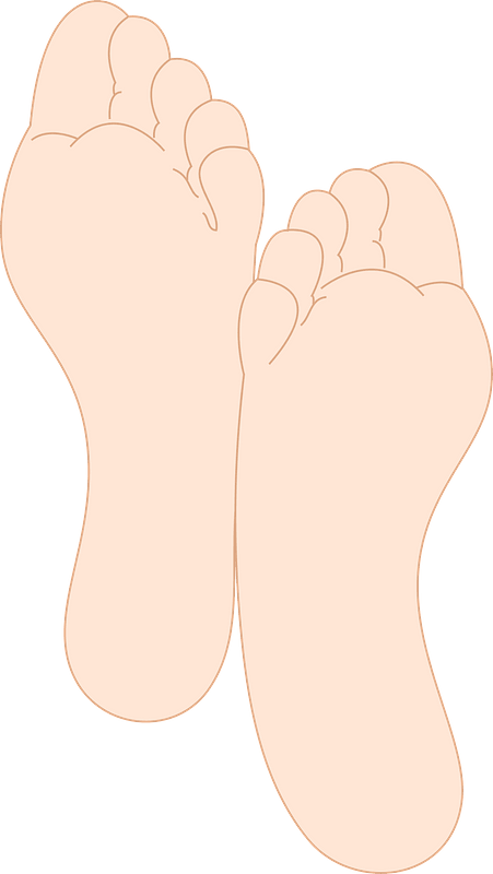 Feet Soles Clipart - Png Download (451x800), Png Download