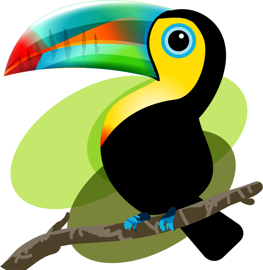 Clipart Pineapple Toucan - Tucan Png Transparent Png (1000x1000), Png Download
