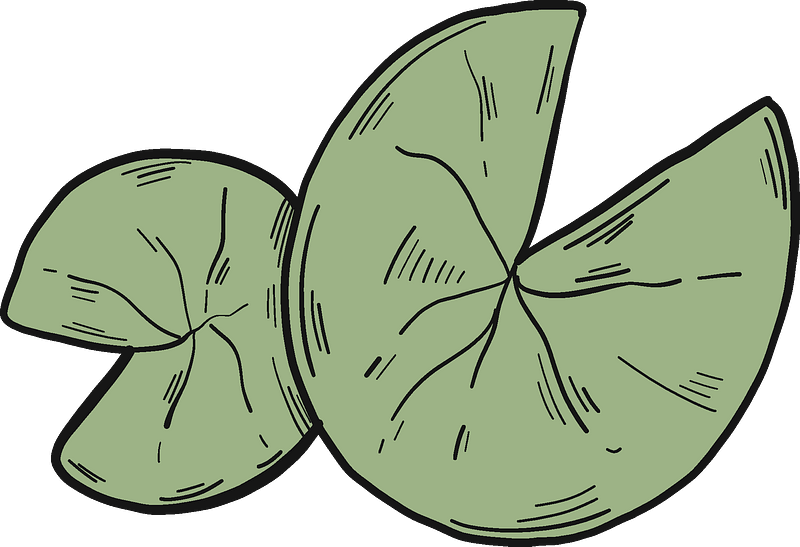 Lily Pads Clipart - Moths And Butterflies - Png Download (800x547), Png Download